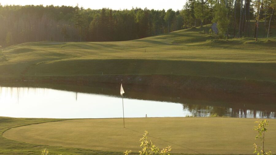 Whitetail GC