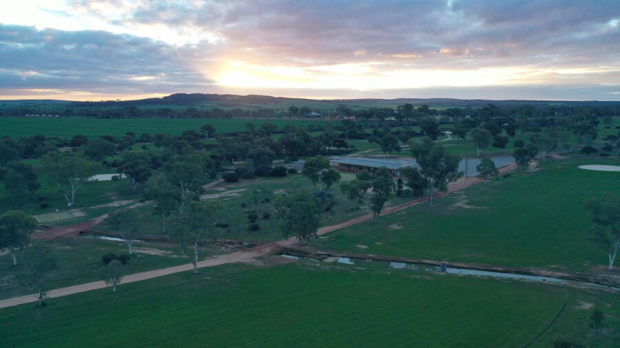 Wongan Hills GC