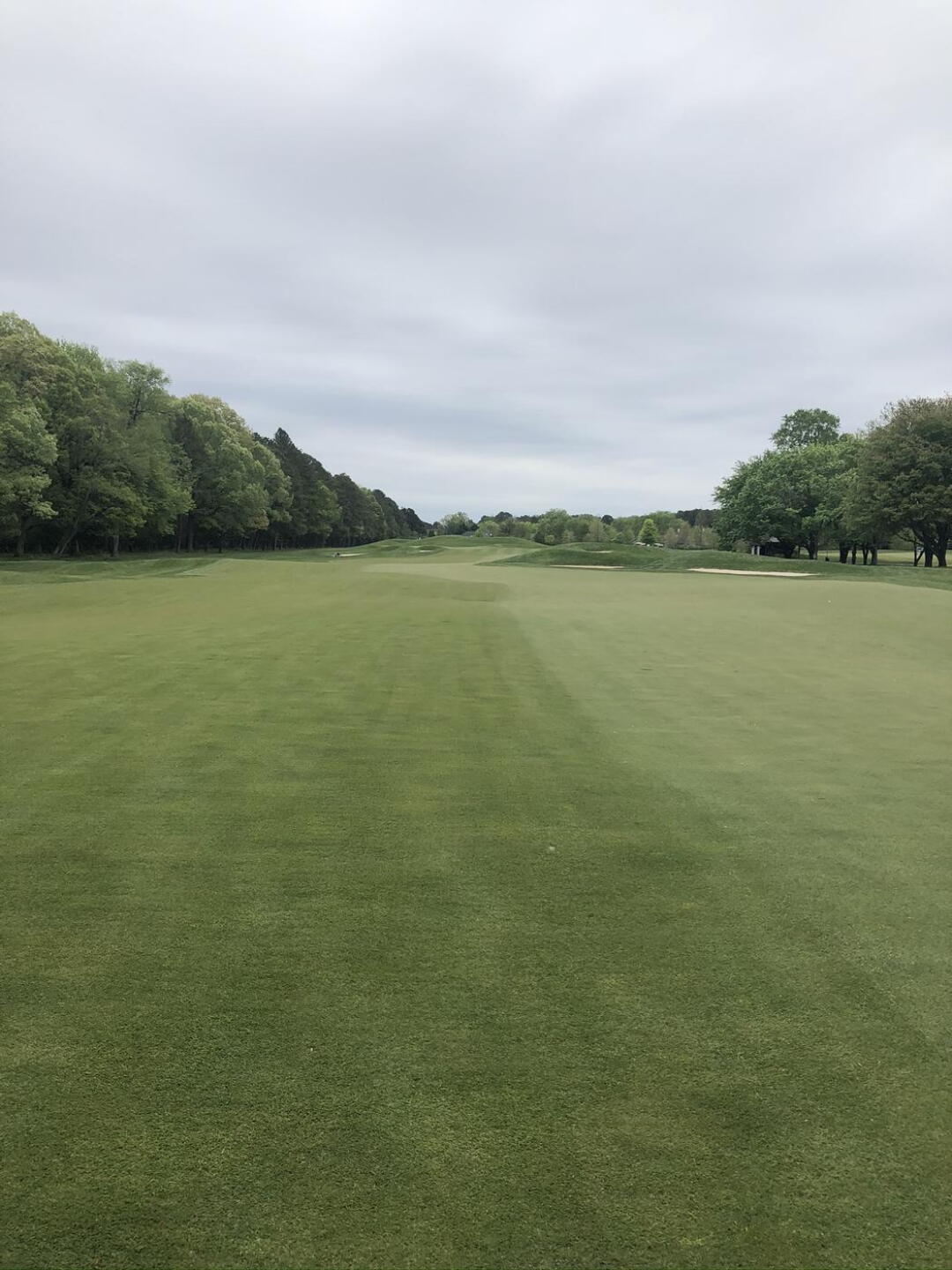 Center of Fairway Views (Photo submitted by u496134722 on 05/02/2022)