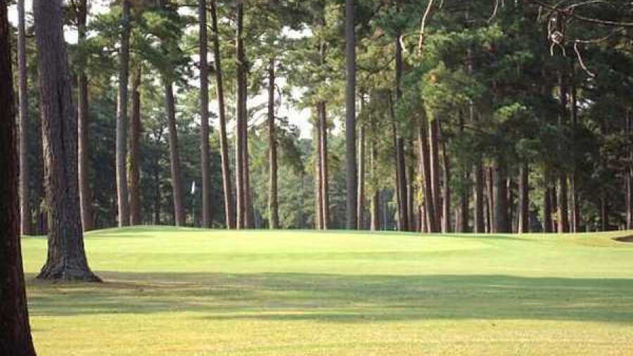 Stumpy Lake GC