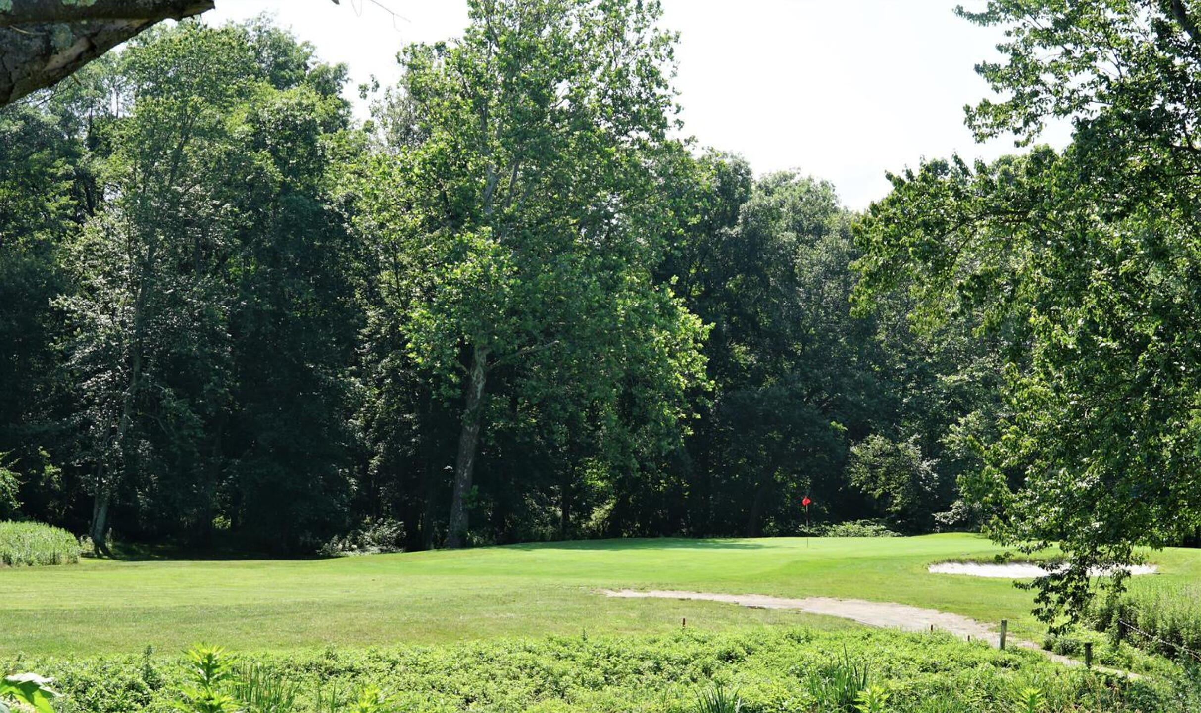 A view of green seven. (Photo submitted by AptlyLinked on 07/08/2023)