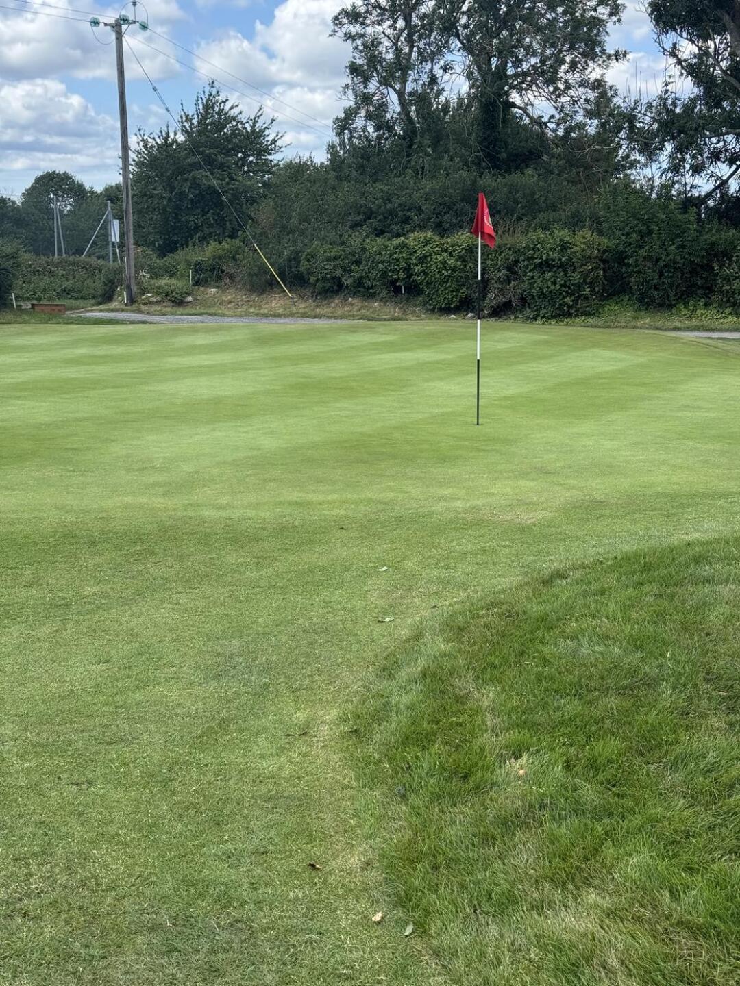 (Photo submitted by PWD1972 on 07/03/2025)