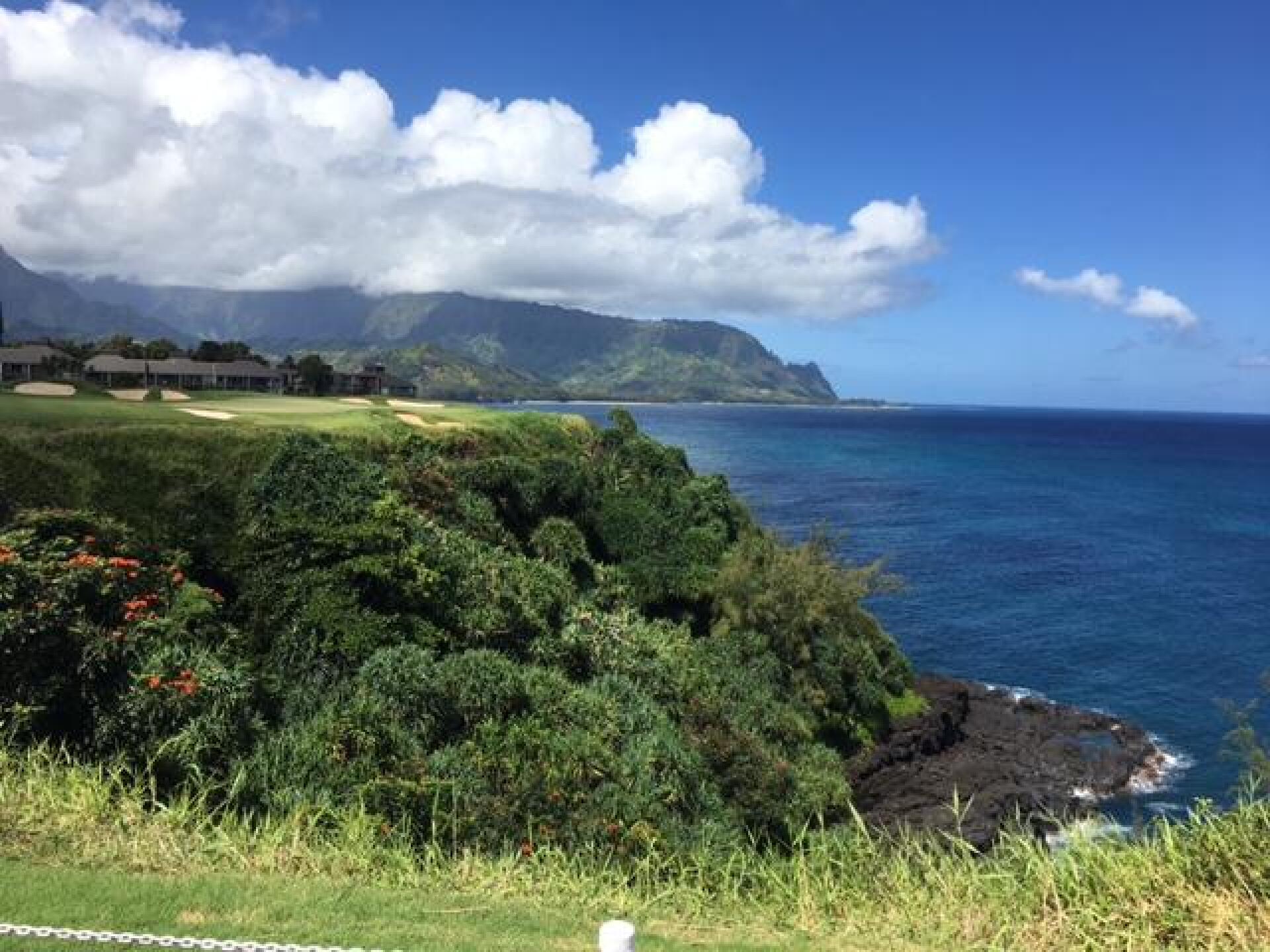 (Photo submitted by LICC on 09/08/2017)