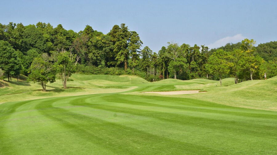 Okadaira Golf Links: #4