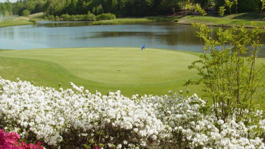 The Preserve at Verdae