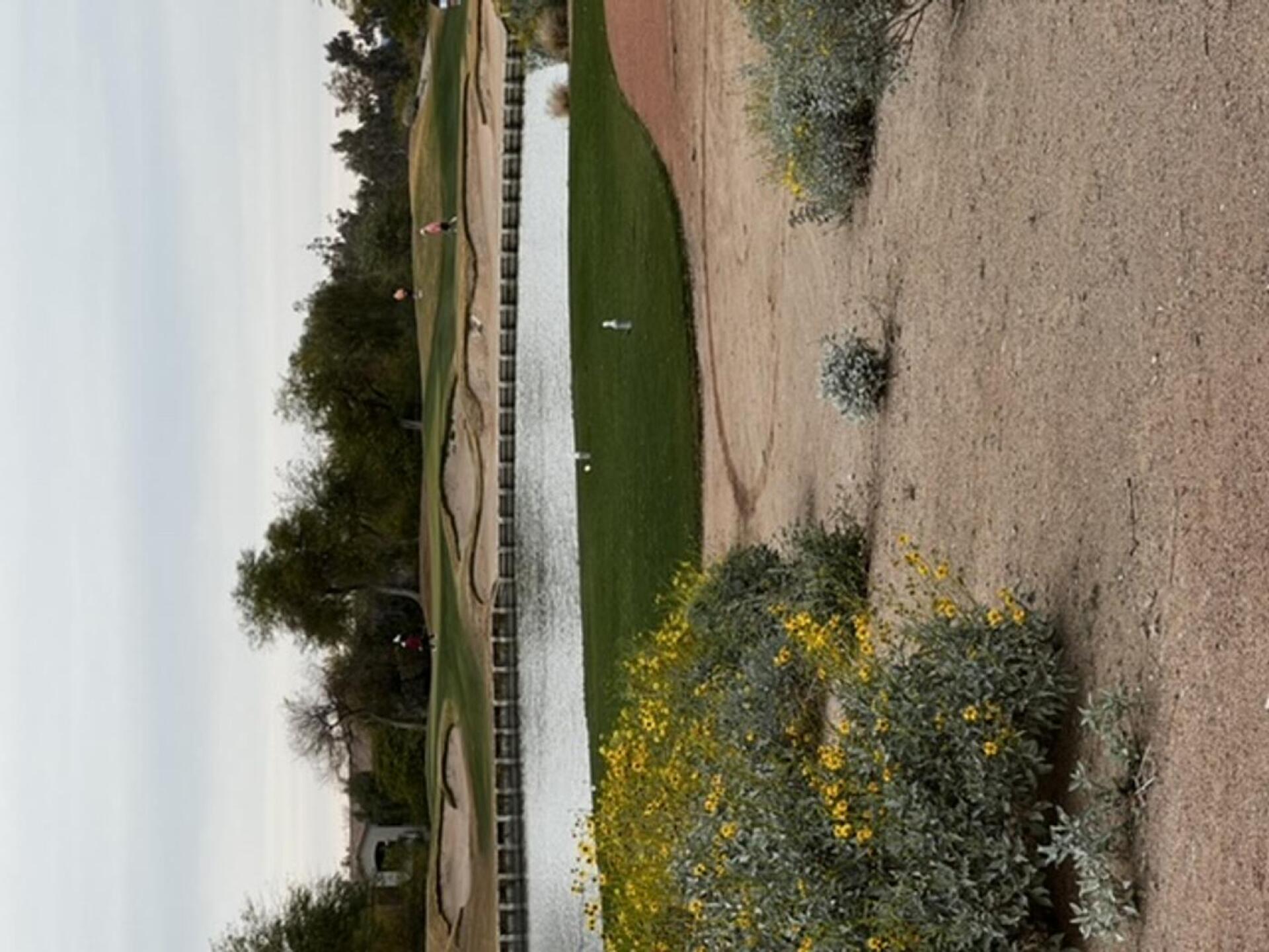 Distracted by the beauty of this par 3 (Photo submitted by allergydoc on 02/28/2022)