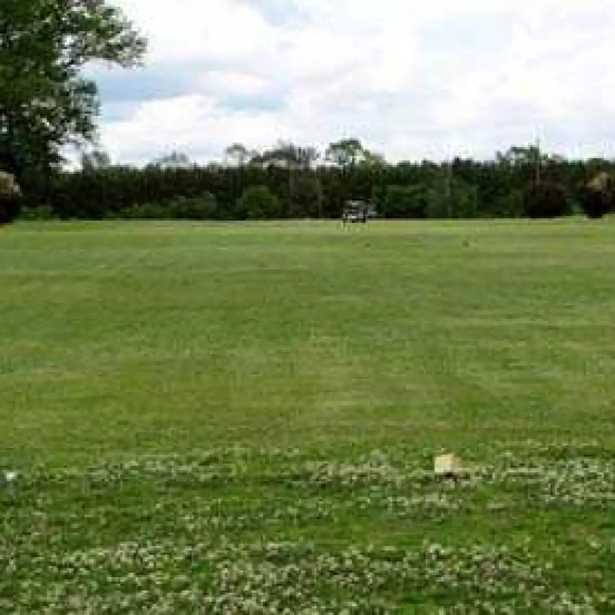 Latex Golf Course in Panola, Texas, USA GolfPass