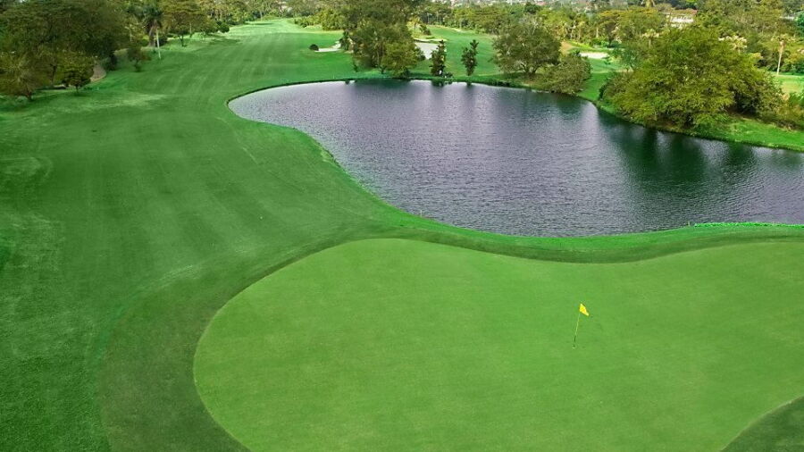 Royal Sumatra GCC: #4