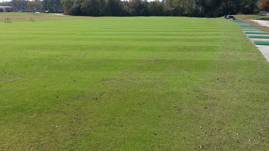 Brentwood GC: Driving range