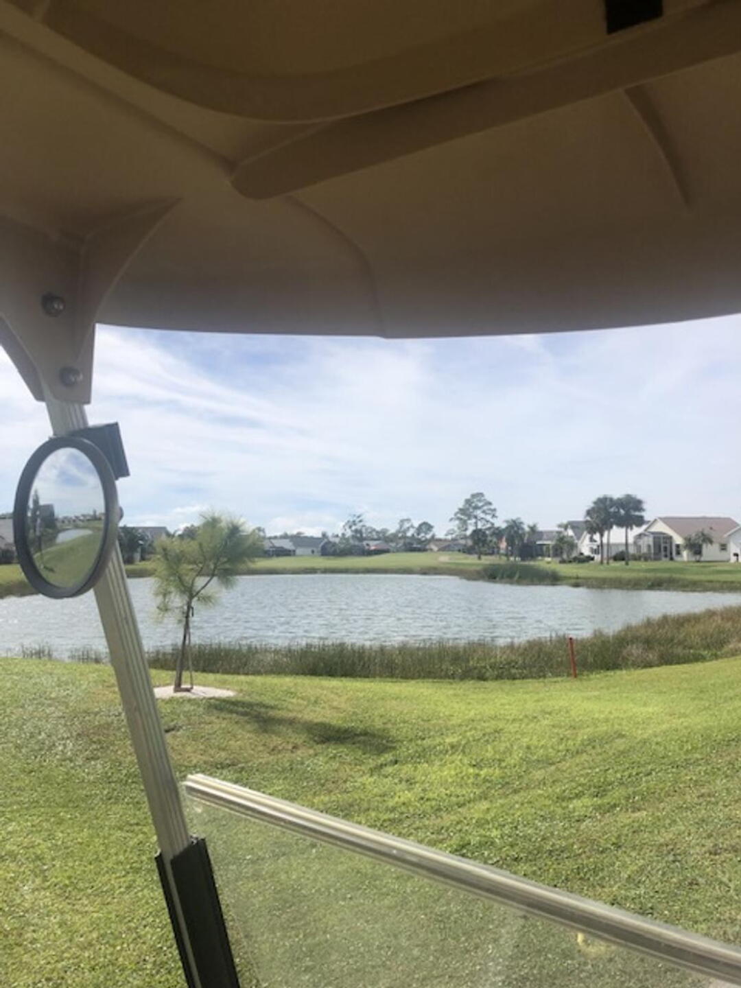 (Photo submitted by millford63 on 01/19/2025)
