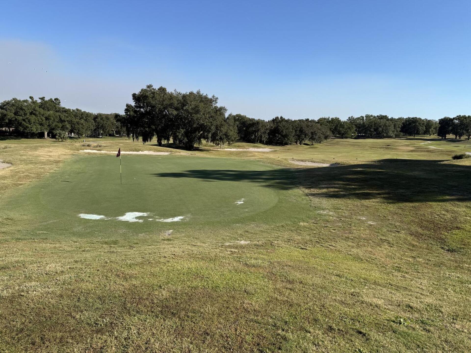 (Photo submitted by u000002133482 on 11/20/2025)