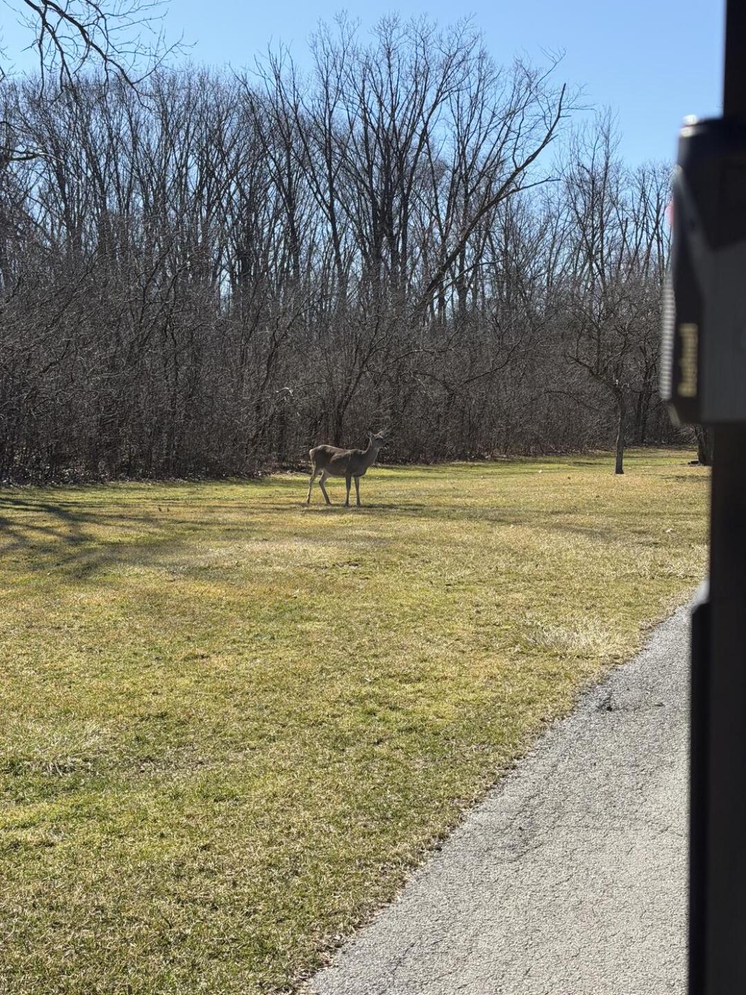 (Photo submitted by bogey815 on 03/12/2026)