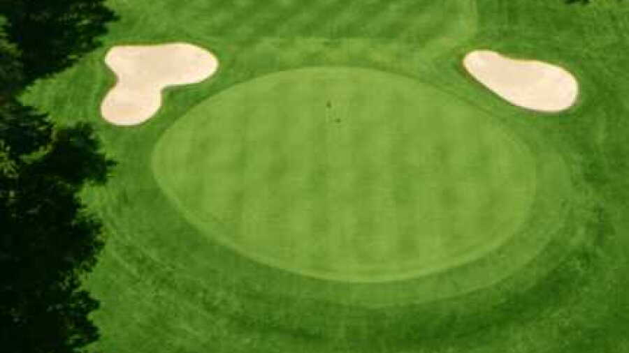 Allendale CC