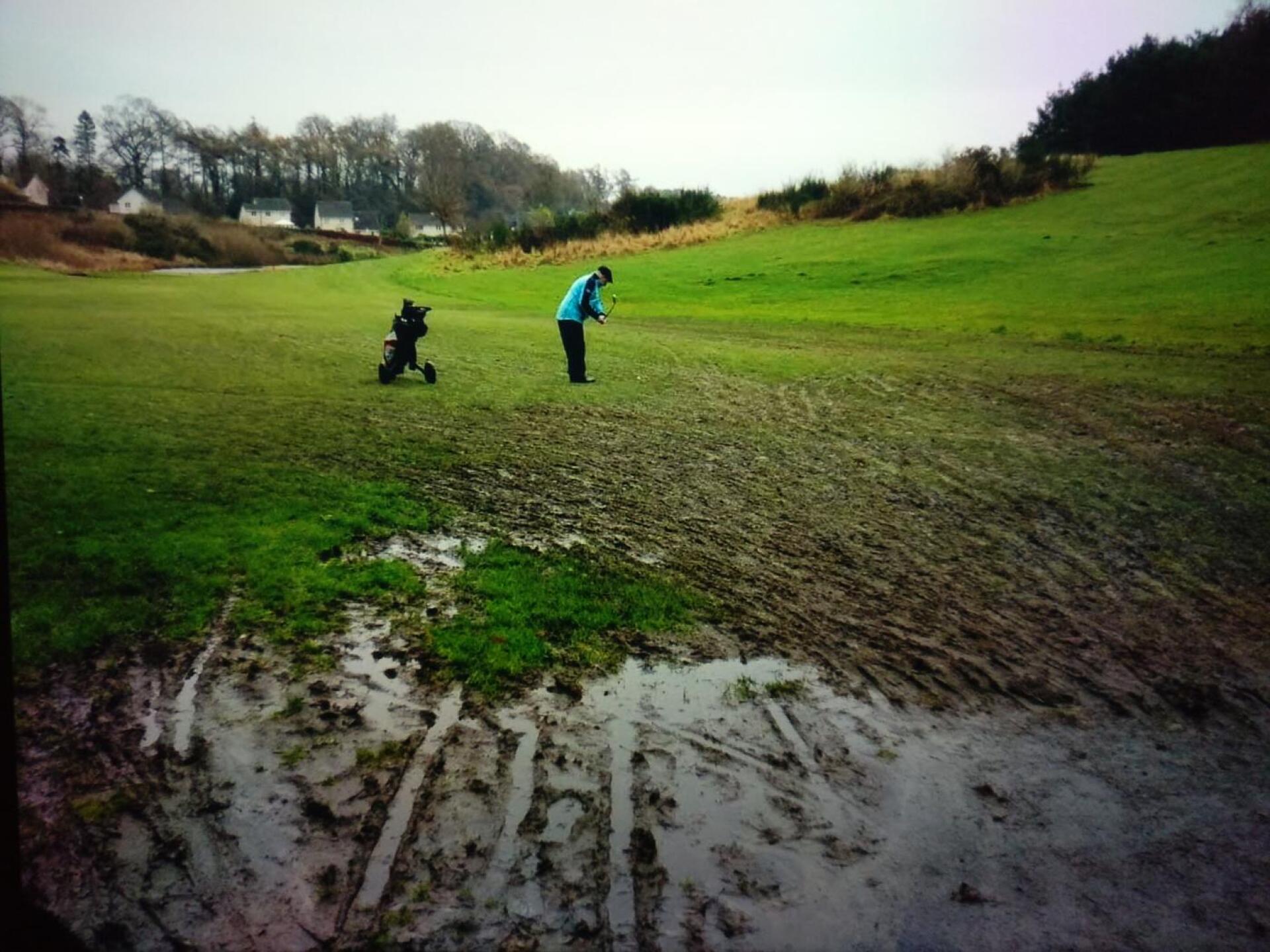 (Photo submitted by u343744820 on 12/11/2020)