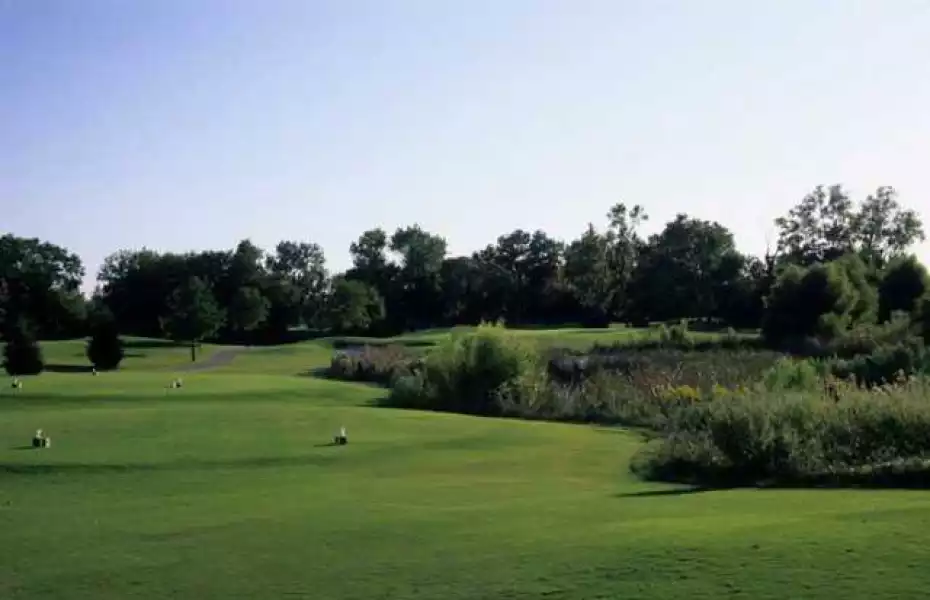 Grapevine GC - Mockingbird: #7