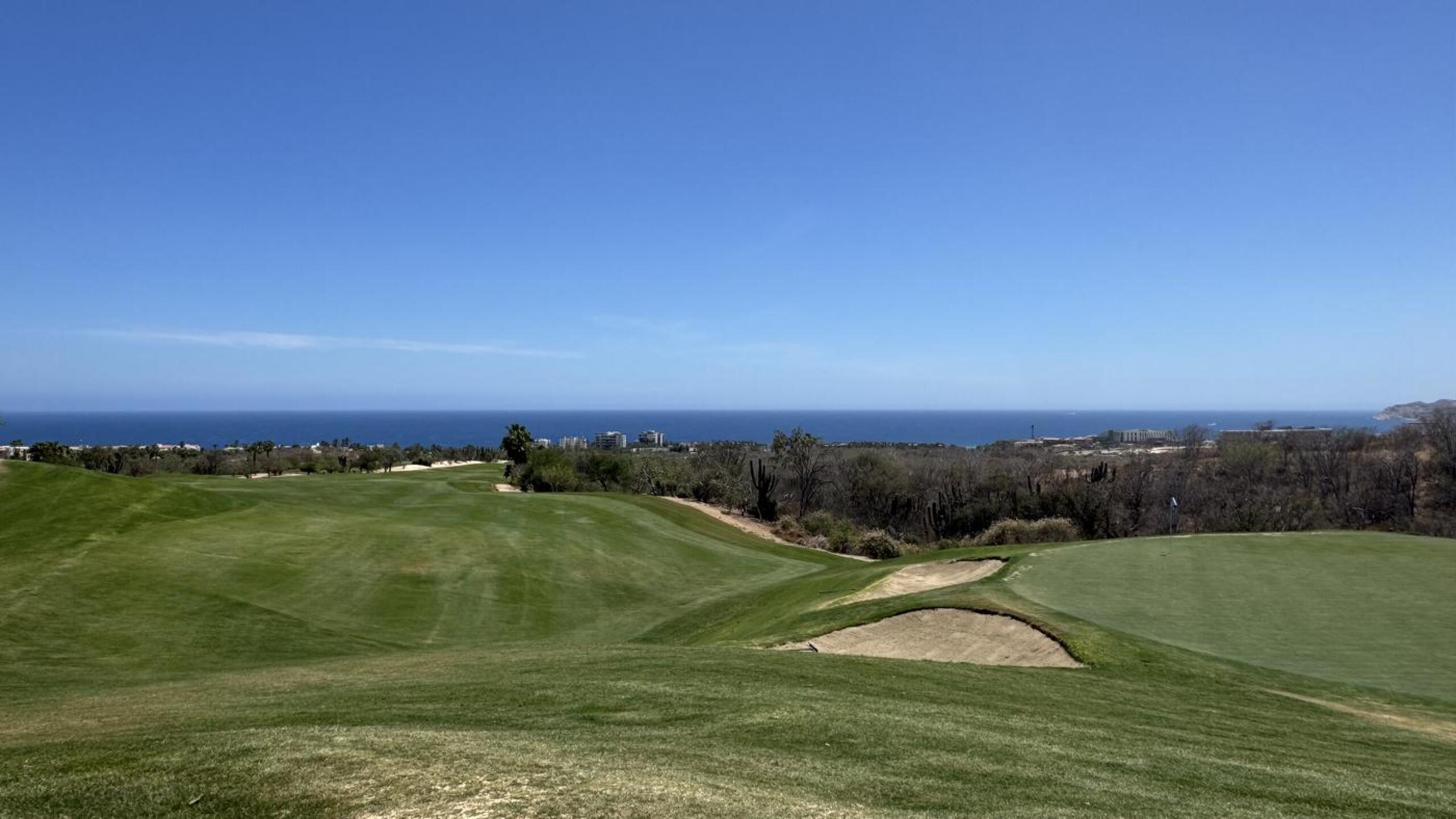 (Photo submitted by sjmartin13 on 04/18/2026)