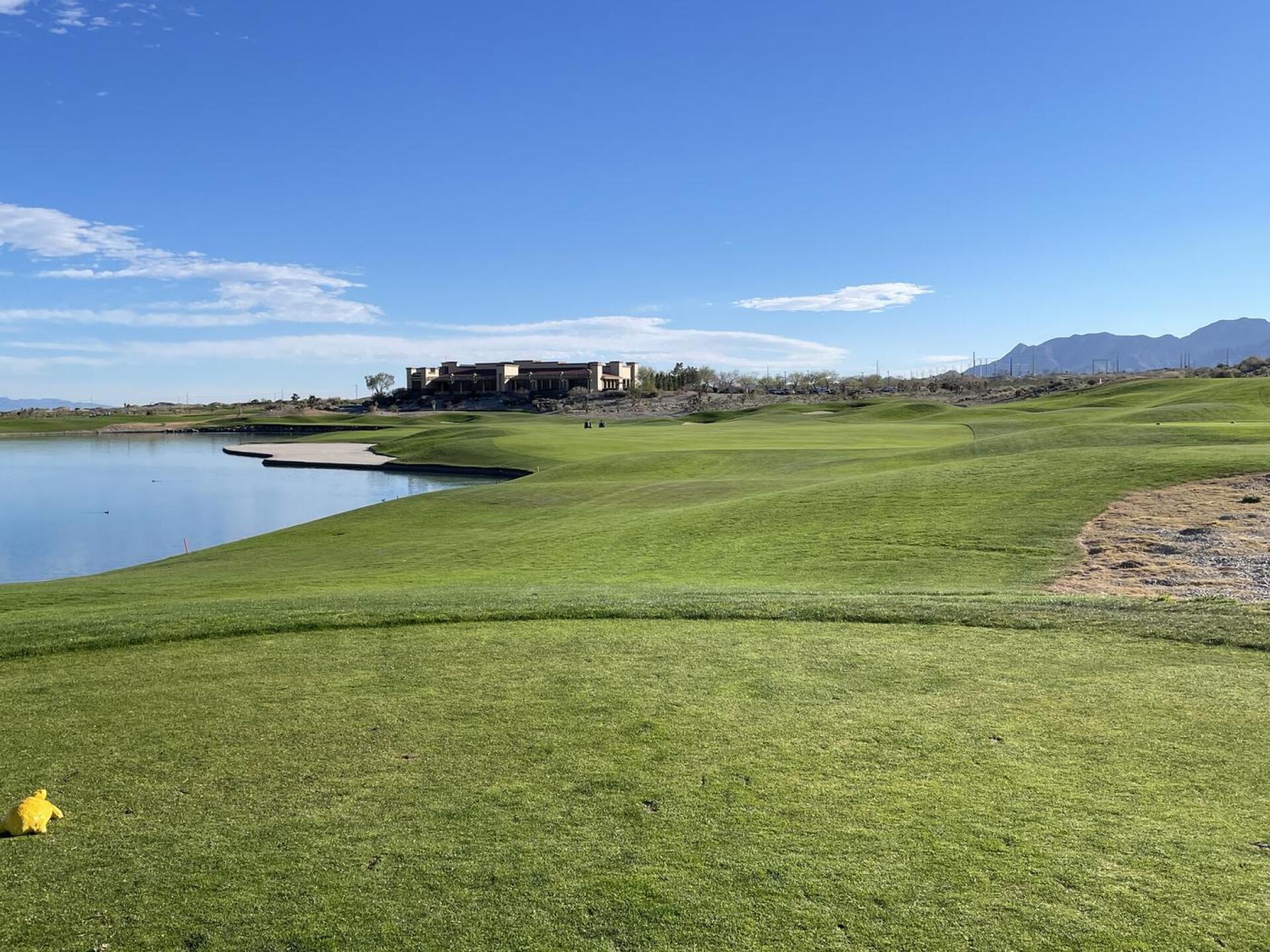 (Photo submitted by PappaJo on 03/02/2026)