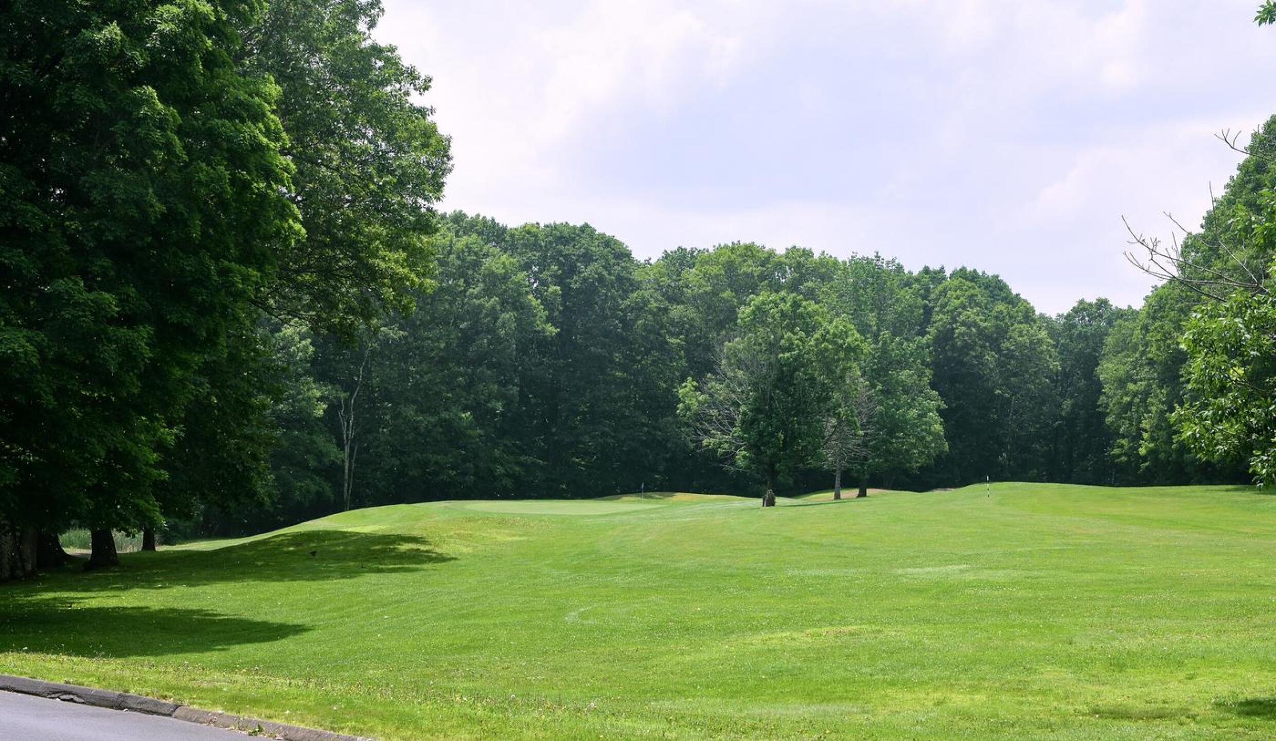 The third green–seen here on the left–is not all that generous a target for a long par-3 of 191 yards. Fairway four is on the right. (Photo submitted by AptlyLinked on 06/14/2025)
