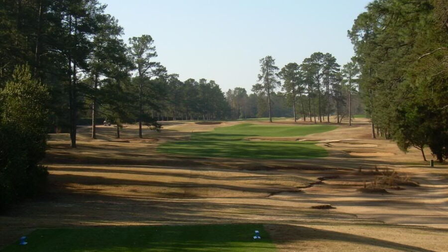 Palmetto GC