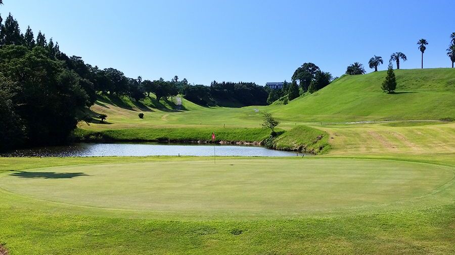 Cherry Amakusa GC: #17
