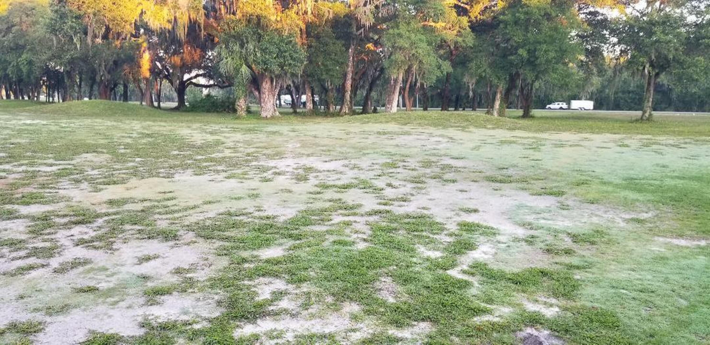 Fairway in front of 1st green (Photo submitted by u00000640068 on 05/20/2020)