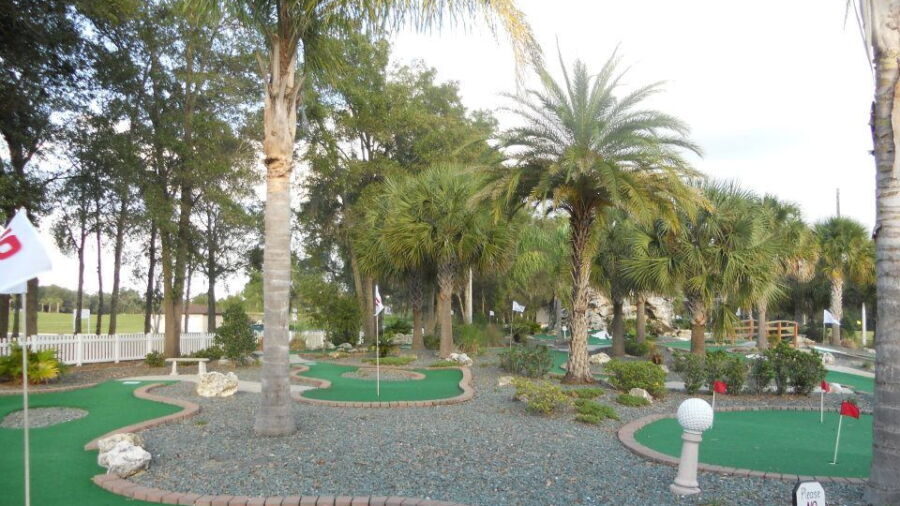 Tree Tops Golf