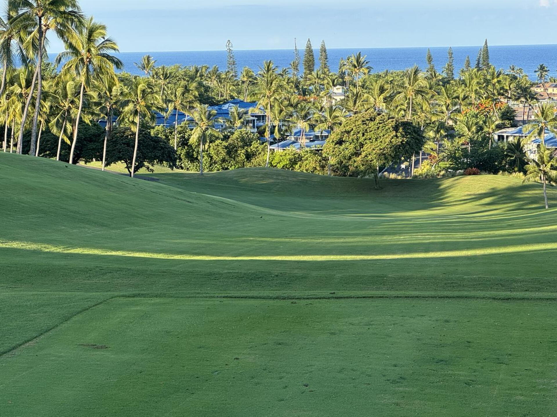 Hole 1 (Photo submitted by u000005723951 on 07/27/2025)