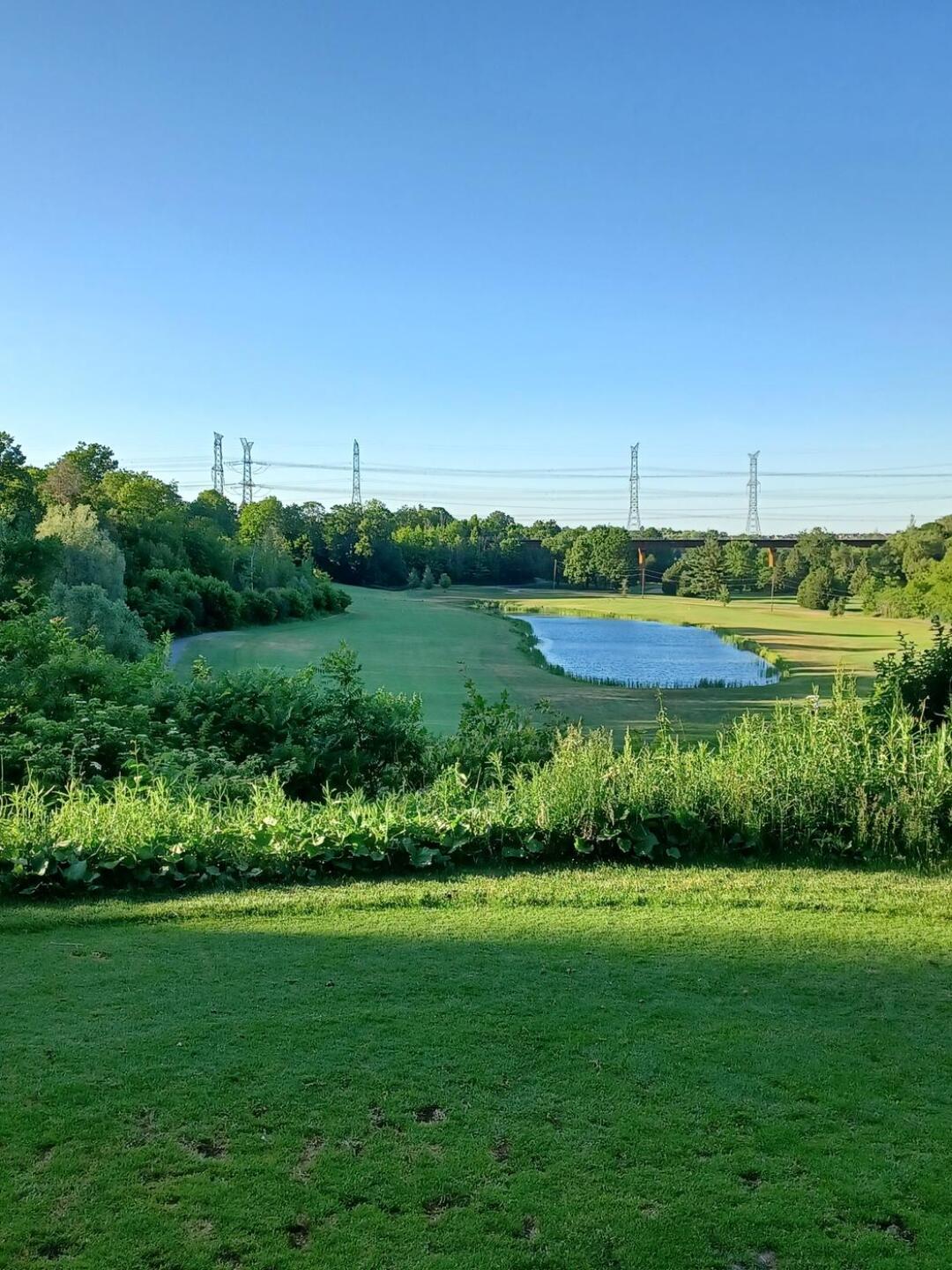 (Photo submitted by u314159602028 on 07/06/2021)