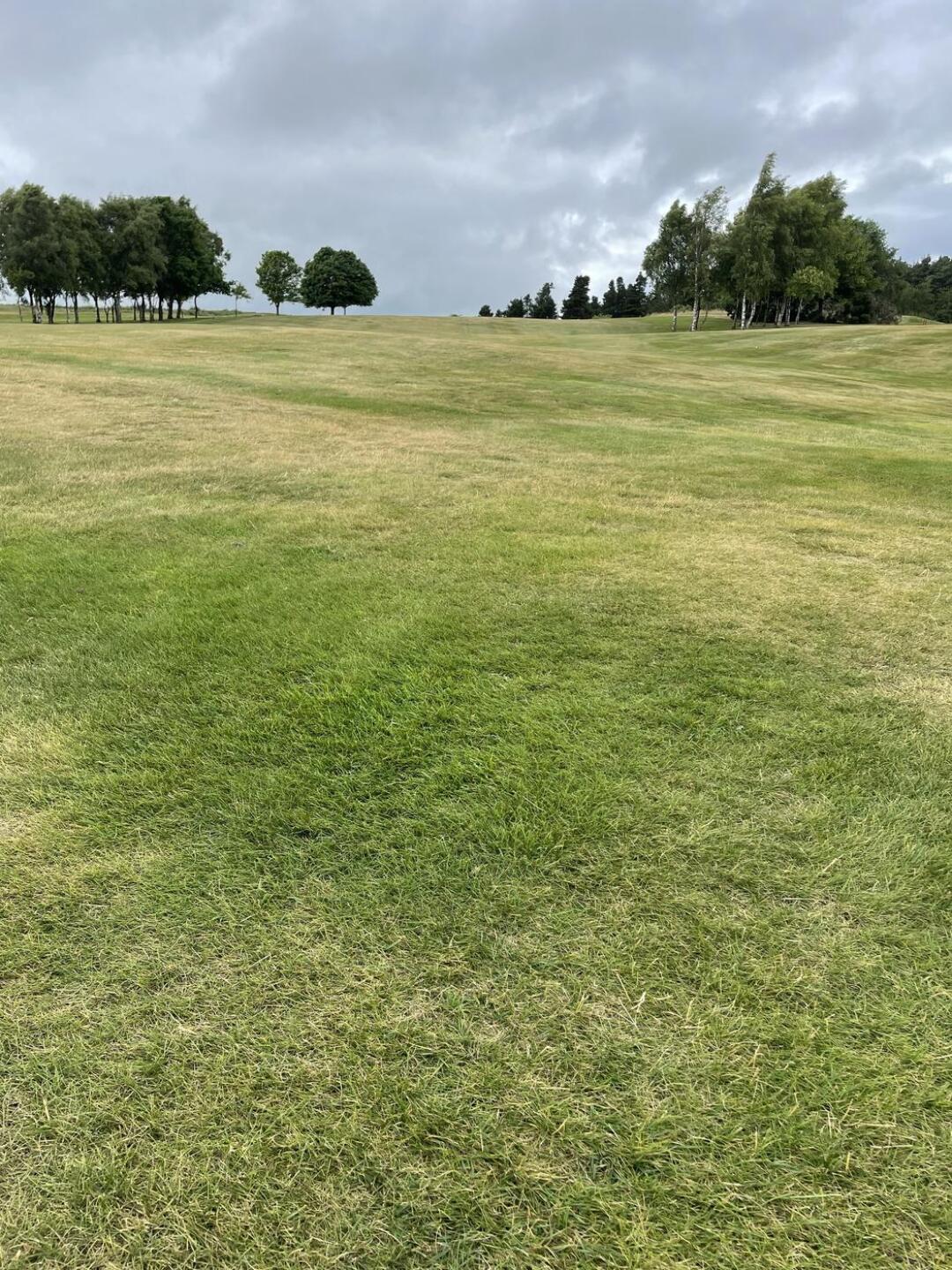 (Photo submitted by rocky821 on 06/30/2023)