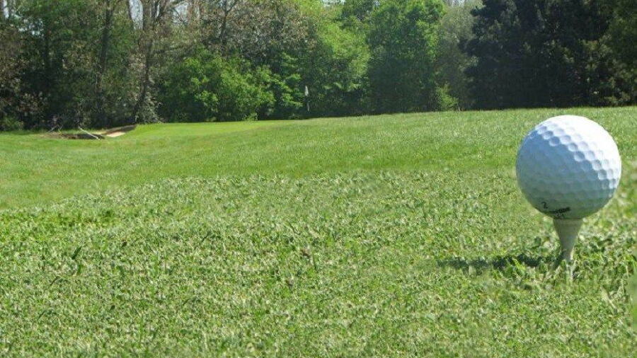 Stanton-on-the-Wolds GC: #10
