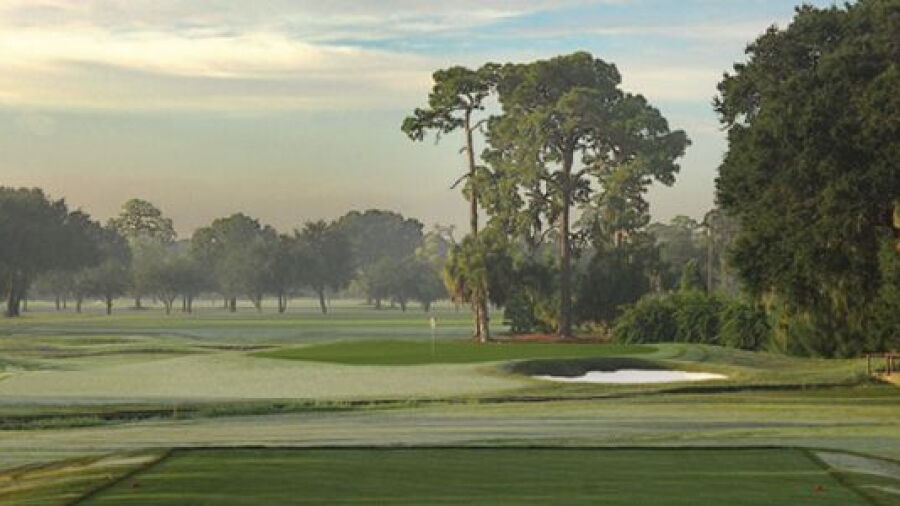 Sara Bay CC