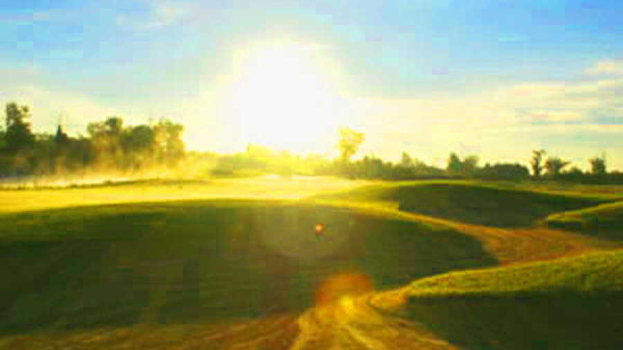 Loyalist CC
