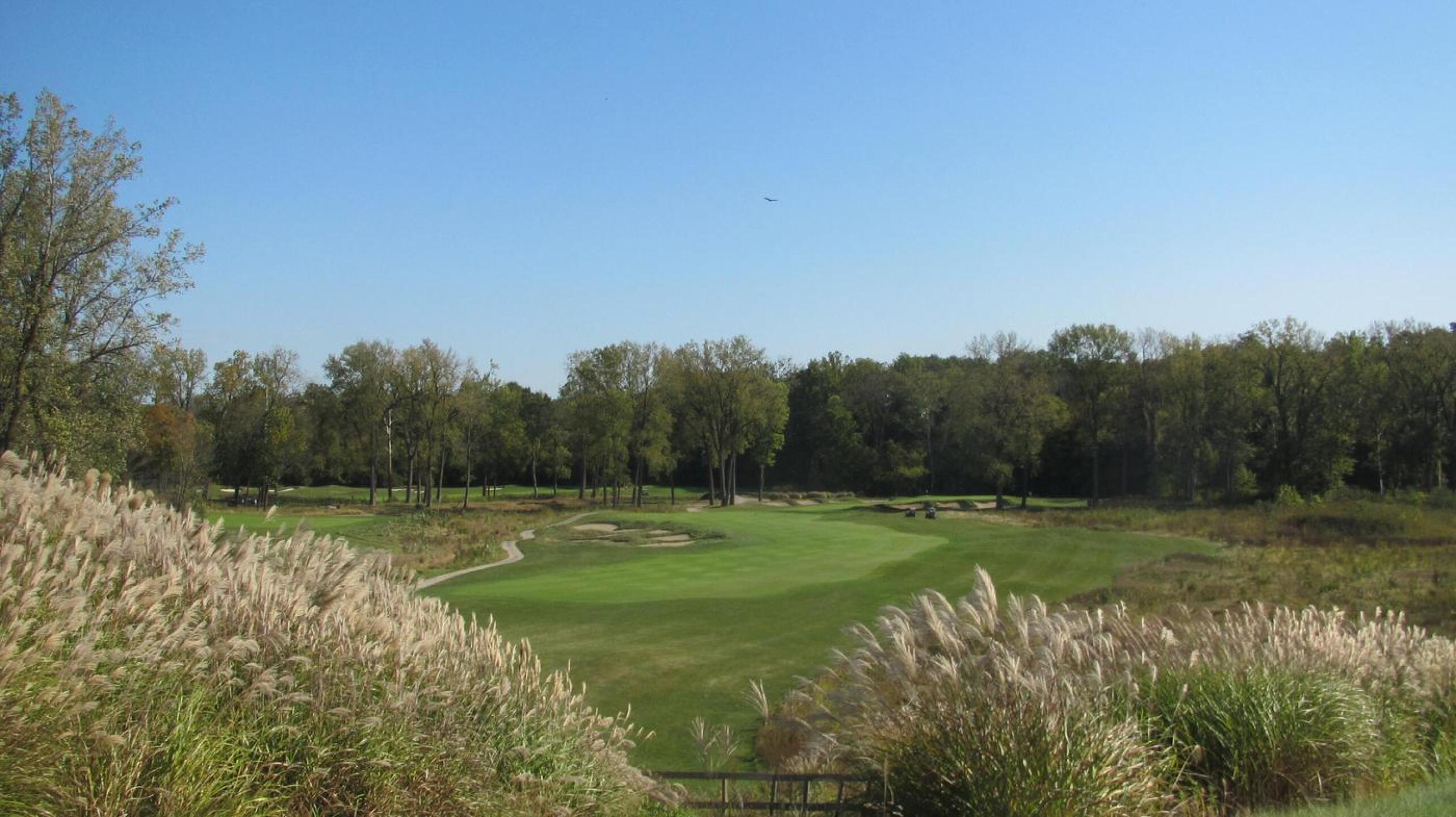 (Photo submitted by gyoju on 10/08/2017)