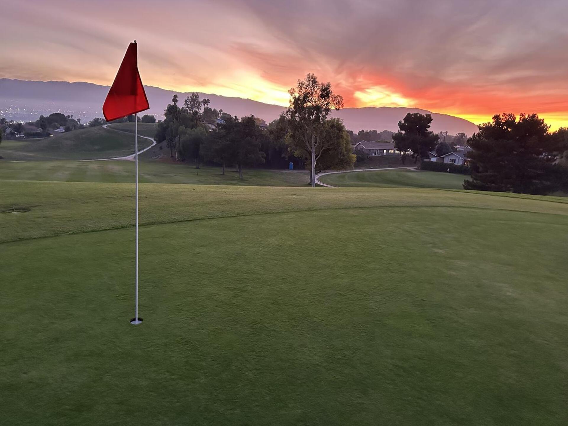 (Photo submitted by ww8irWdjGYnrQRijIoEN on 01/27/2026)