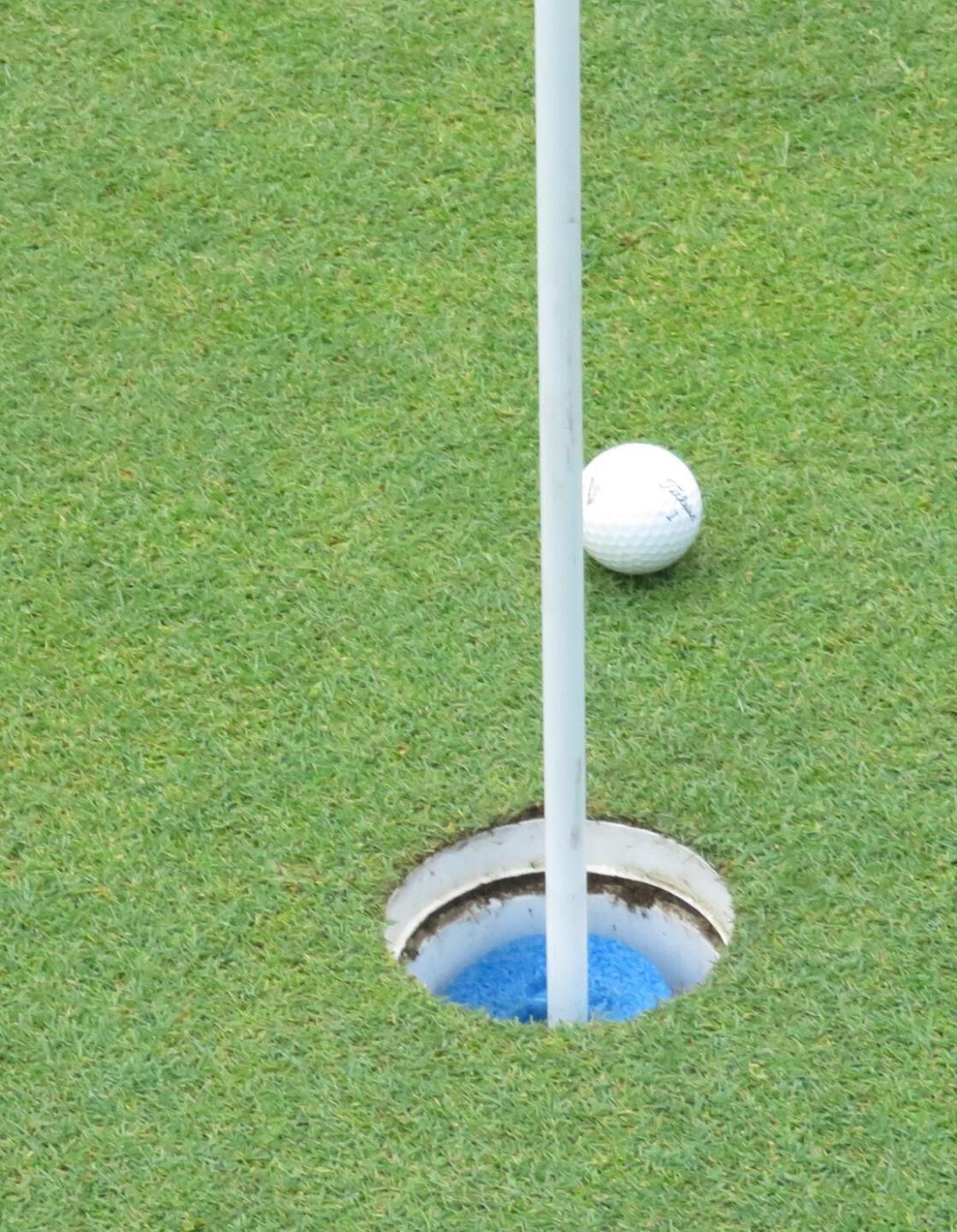 My near miss at 14 (Photo submitted by MarkMolyneux on 09/21/2020)