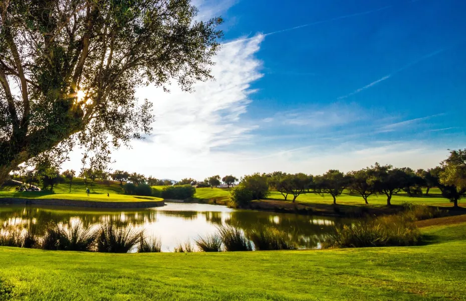 Panoramica GCC