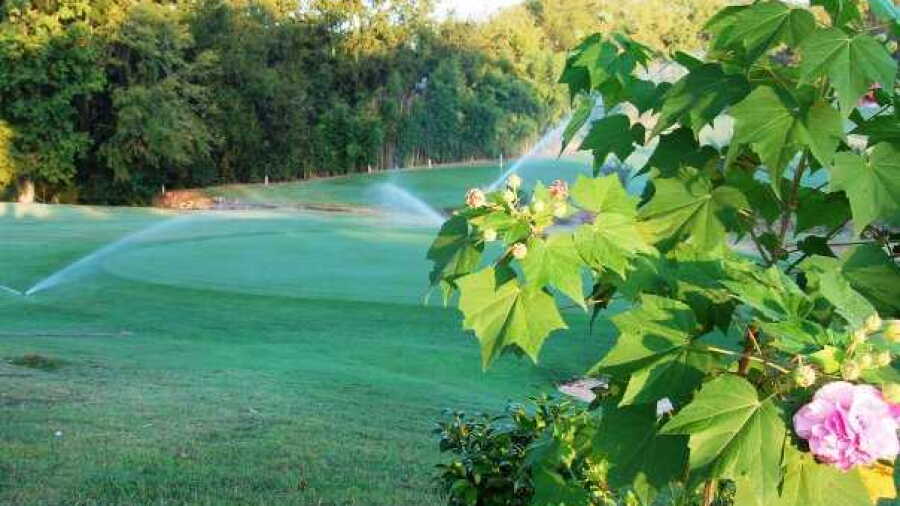 Godwin Creek GC