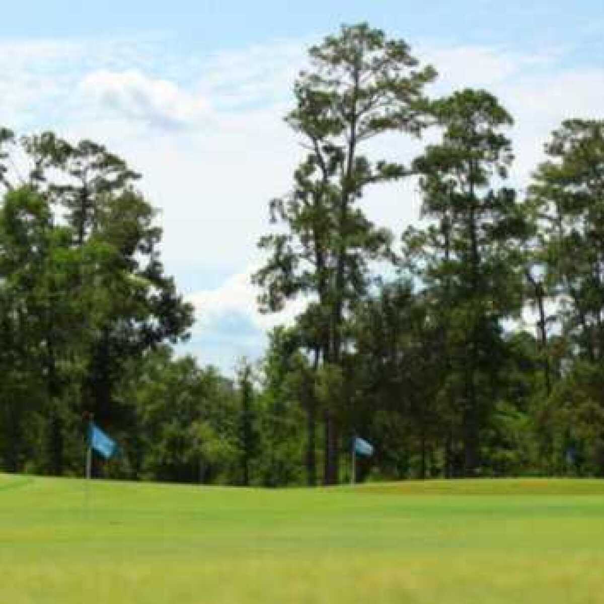 Idylwild Golf Club in Sour Lake Texas USA Golf Advisor Idylwild Golf Club in Sour Lake Texas USA Golf Advisor
