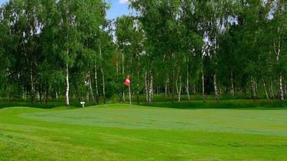 Kamien CC: #8