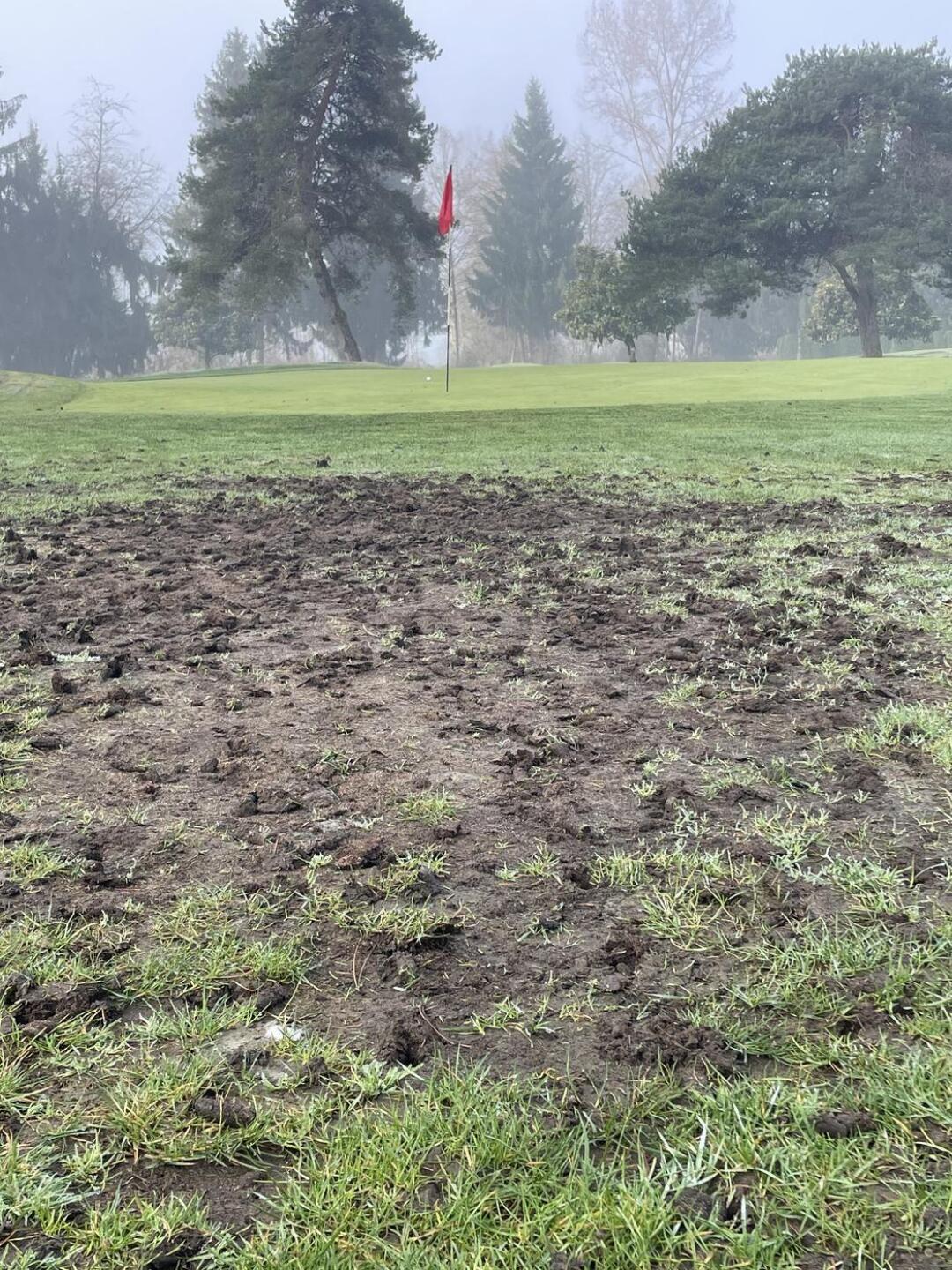 (Photo submitted by u314160614007 on 03/25/2024)