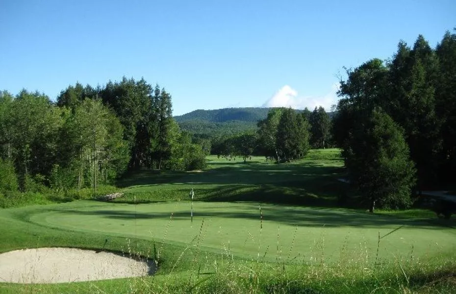 Dorset Field Club: #5