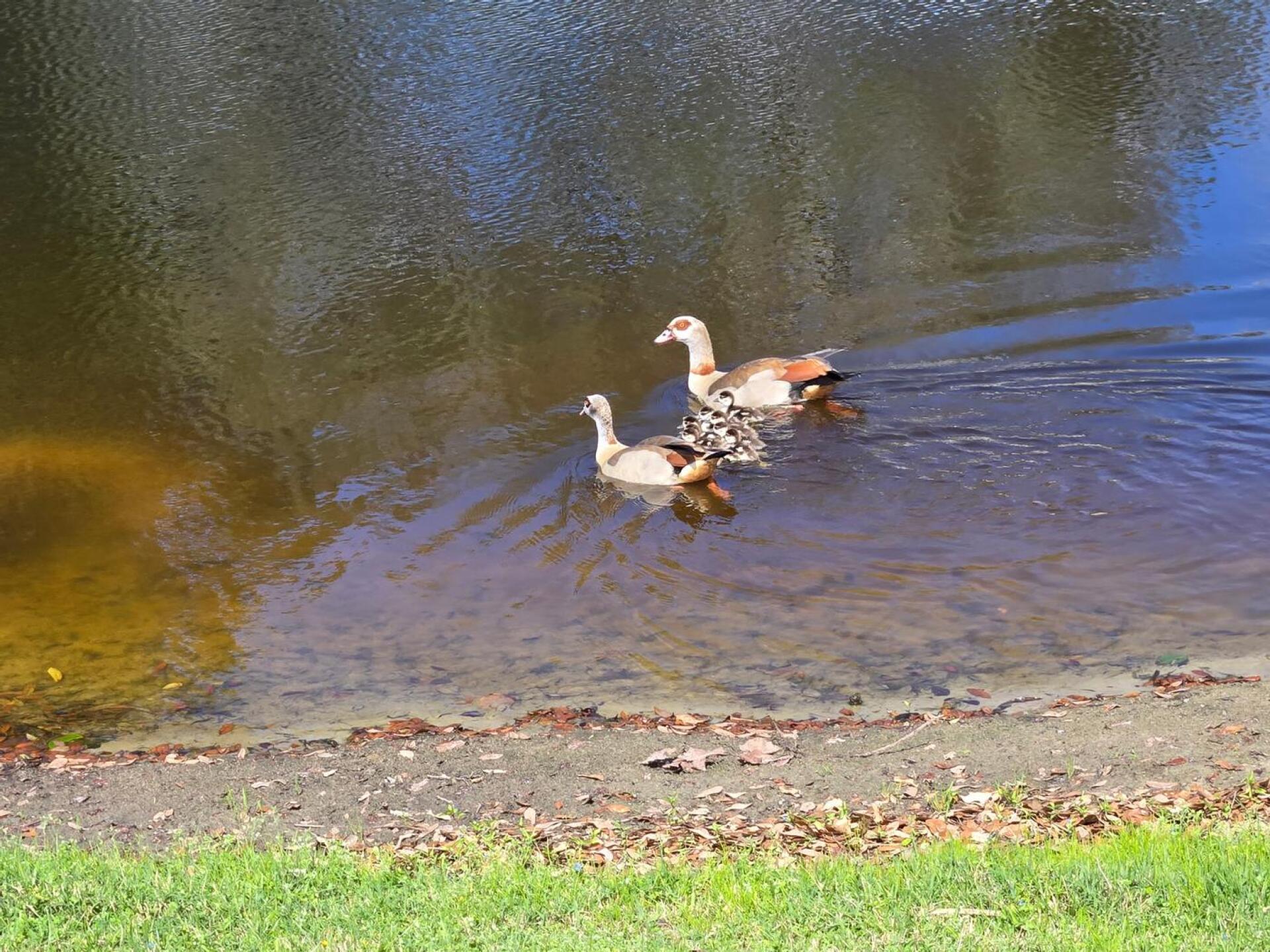 (Photo submitted by u108865017 on 02/21/2025)