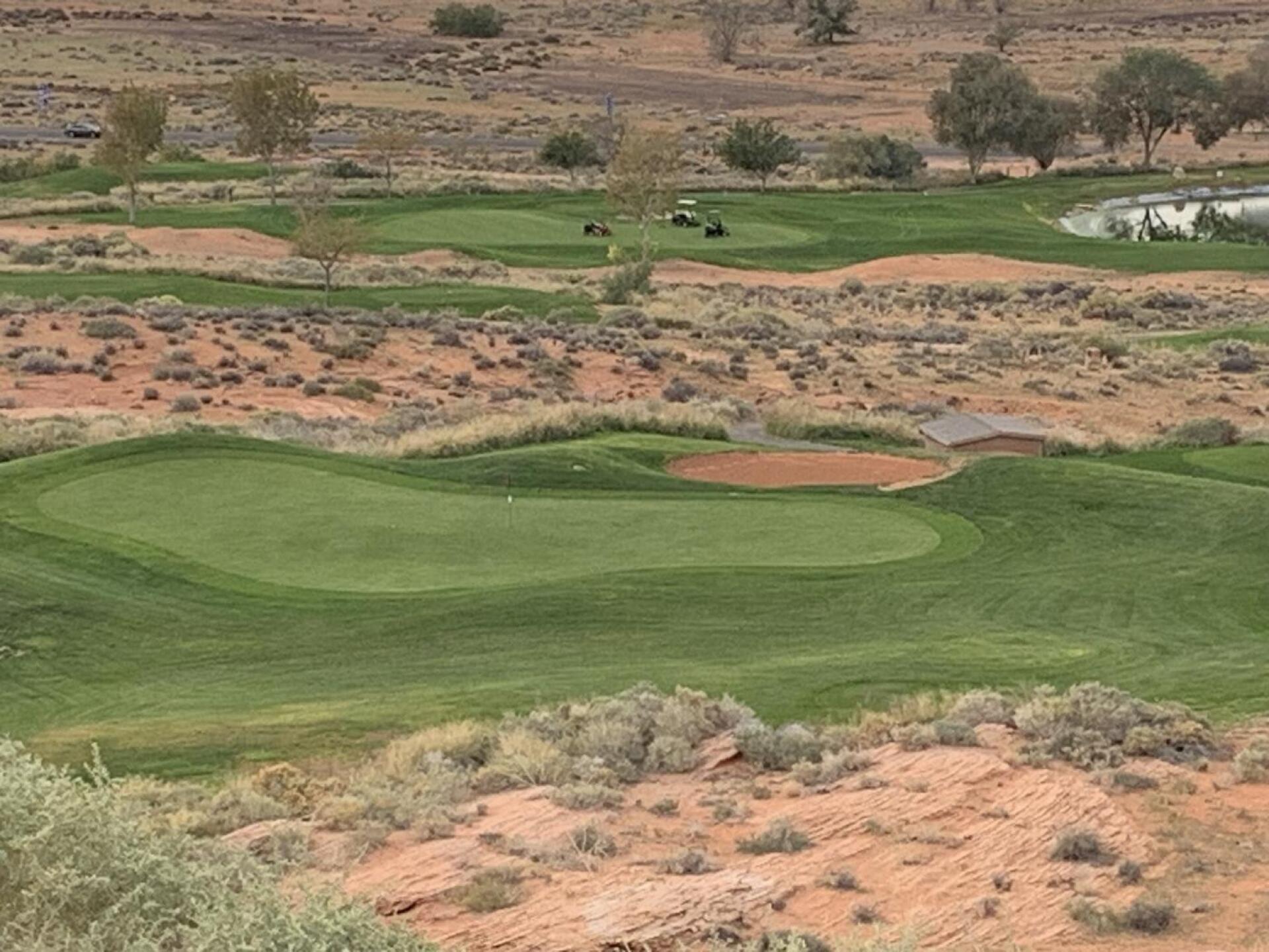 (Photo submitted by msuwalski on 10/27/2025)