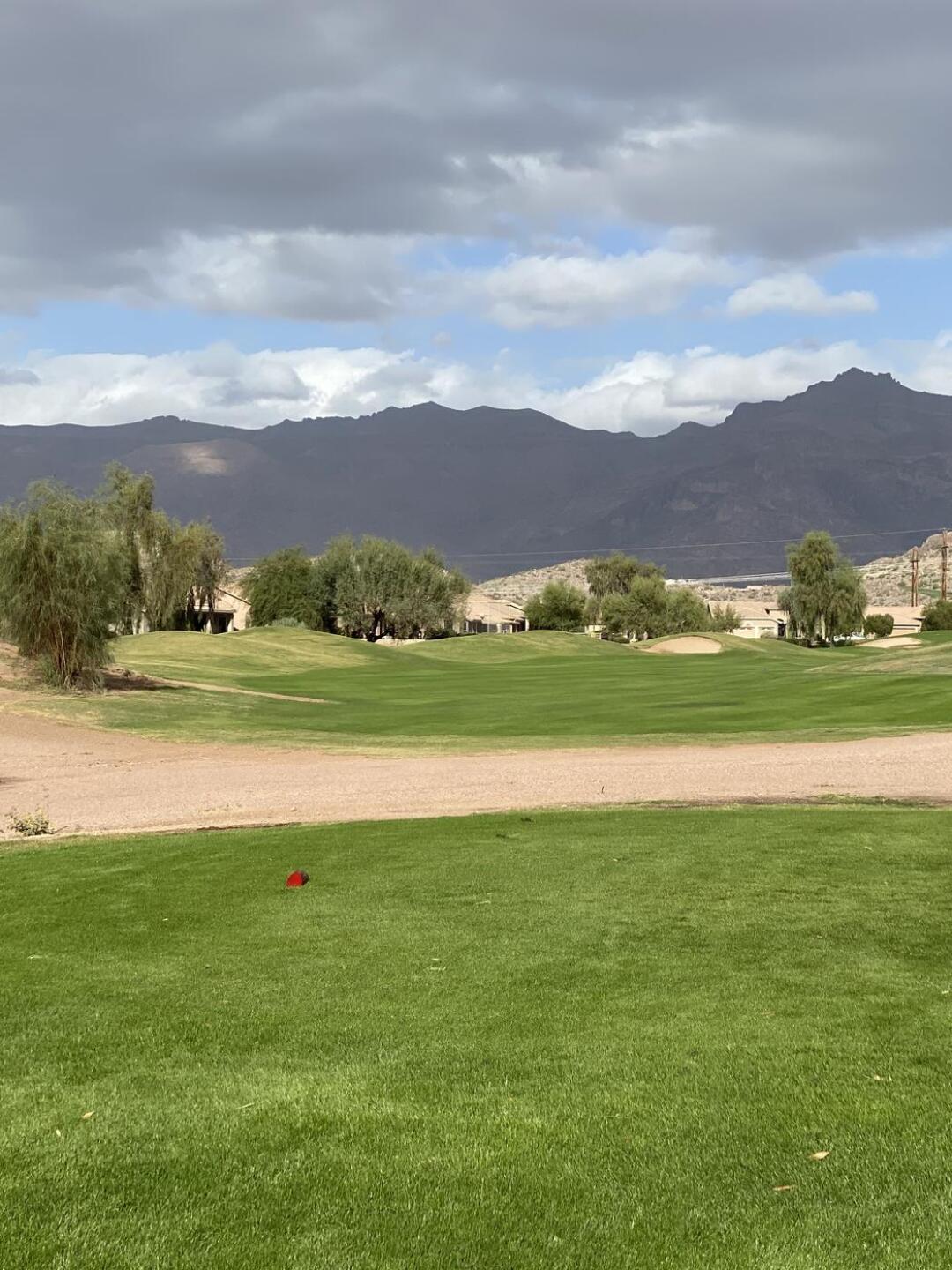 (Photo submitted by Rbymark on 11/08/2020)