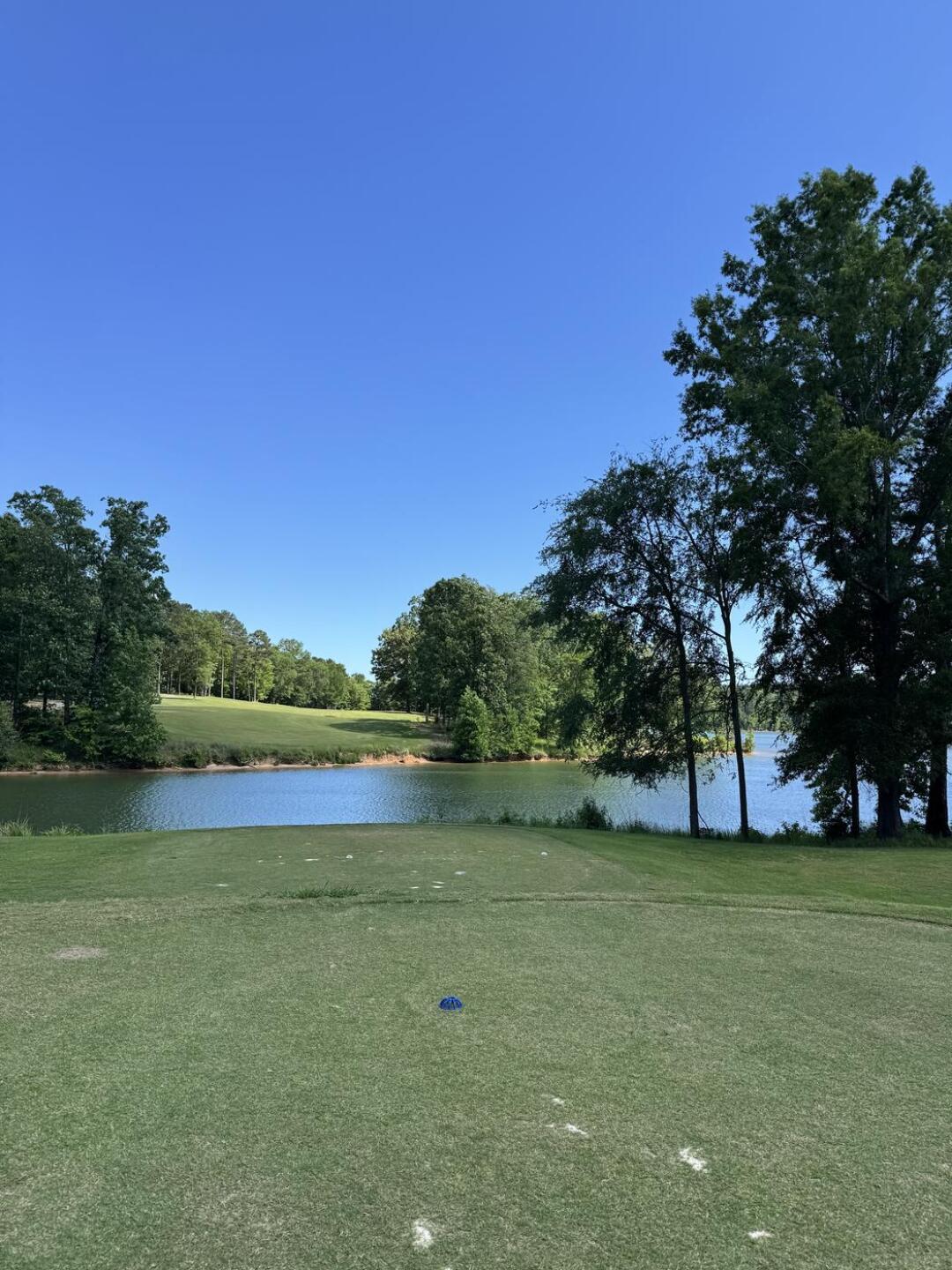 (Photo submitted by Justterrible on 05/23/2025)