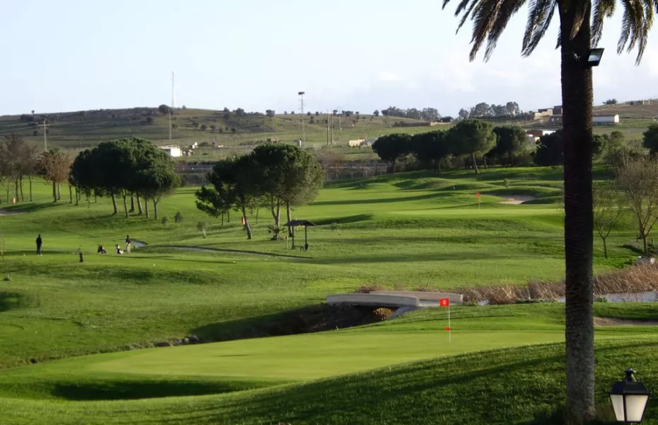 Guadiana GC: #8