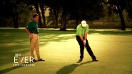 The Open Champions