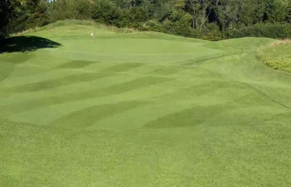 Cantigny Golf - Youth Links: #5