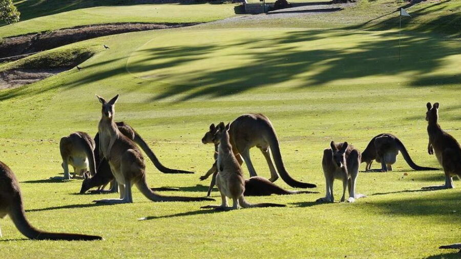 Cardinia Beaconhills Golf Links