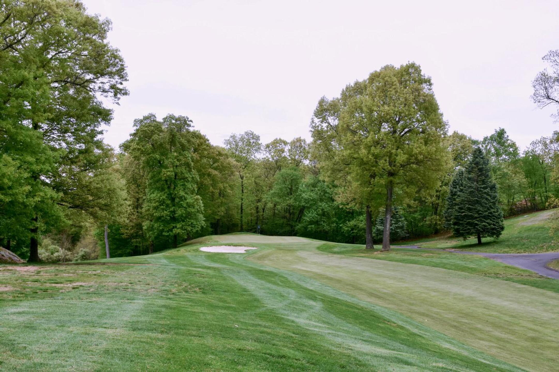 Long hitters may gain an advantage off the 13th tee, but only if they are extremely accurate. (Photo submitted by AptlyLinked on 05/14/2026)